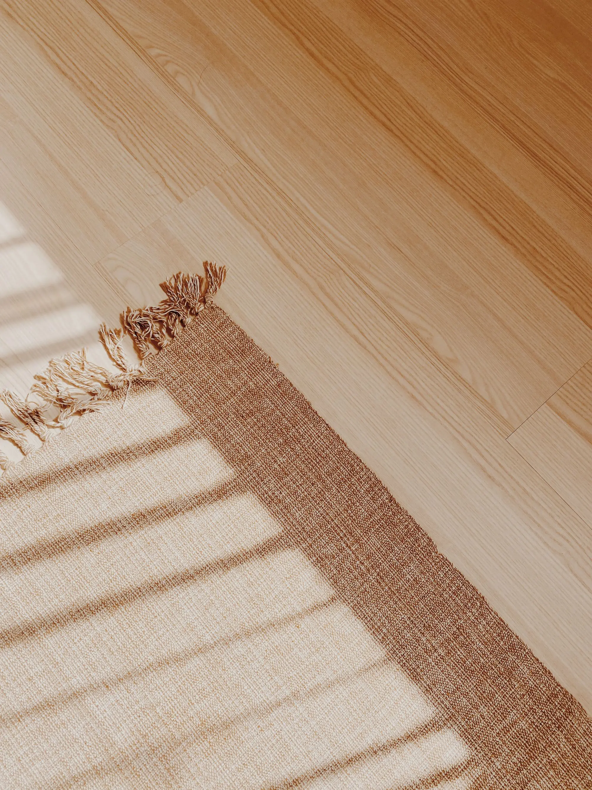Sunlight across a pale wood floor with a woven rug
