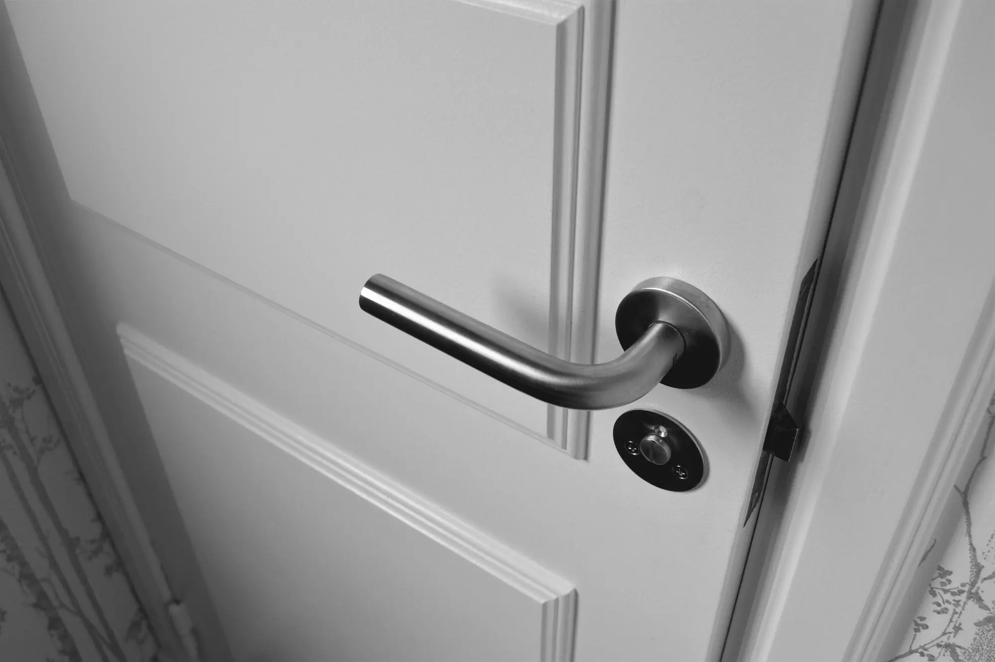 Brushed steel lever on a white panel door